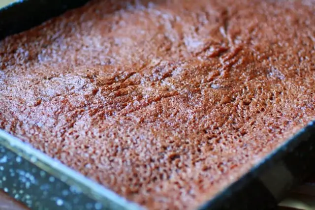 Homemade chewy gooey cocoa brownie in a pan