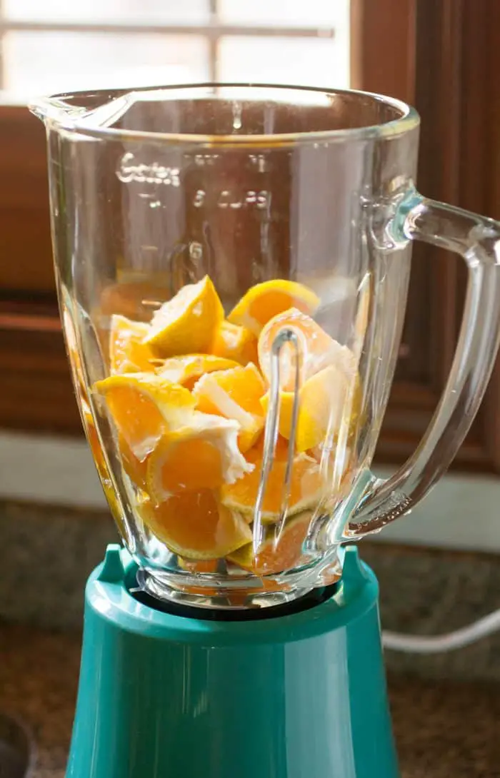 blender with tangerines