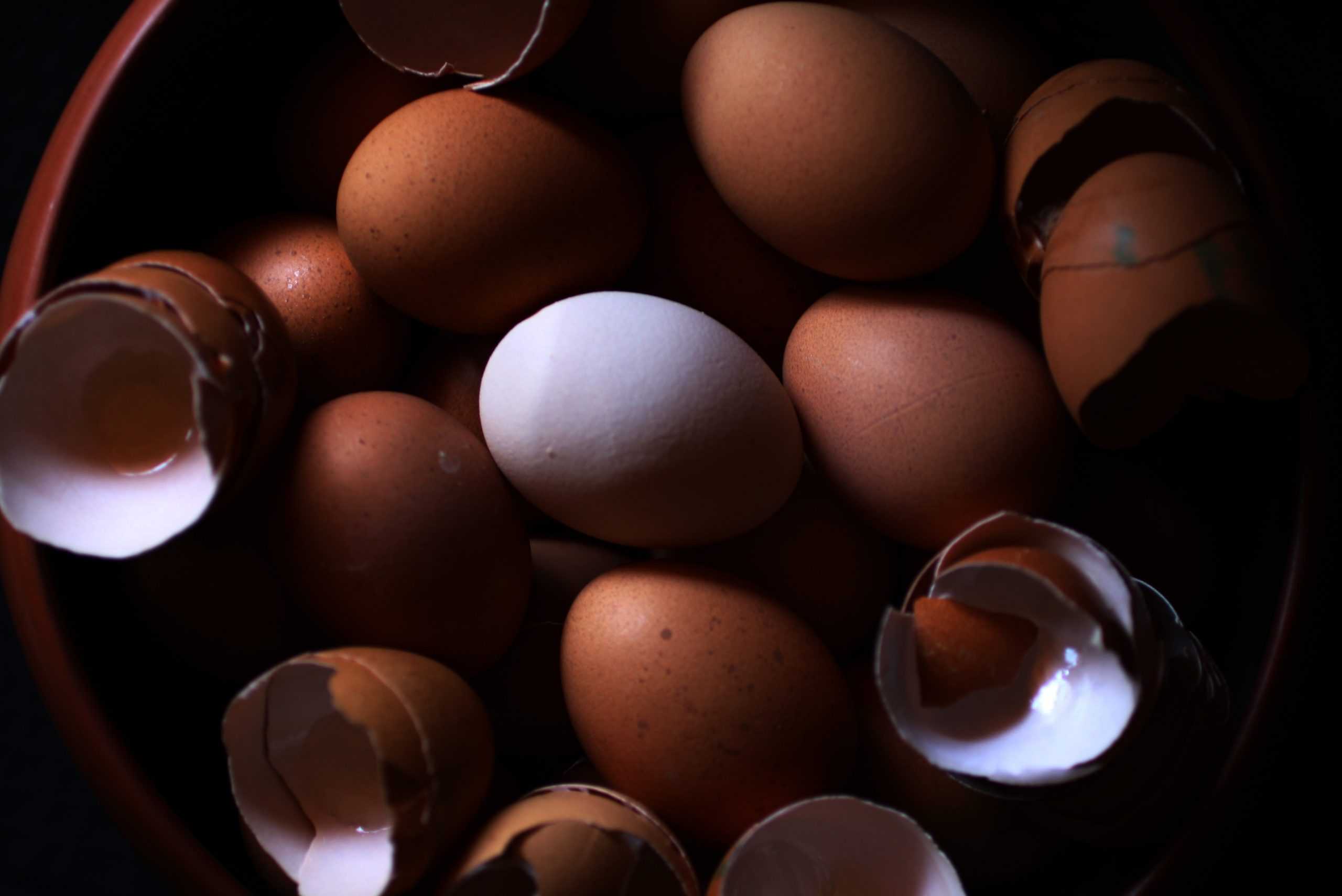 Alfabeto Culinario: Huevos