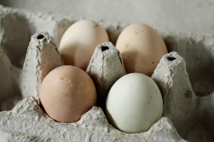 cuatro huevos en una huevera
