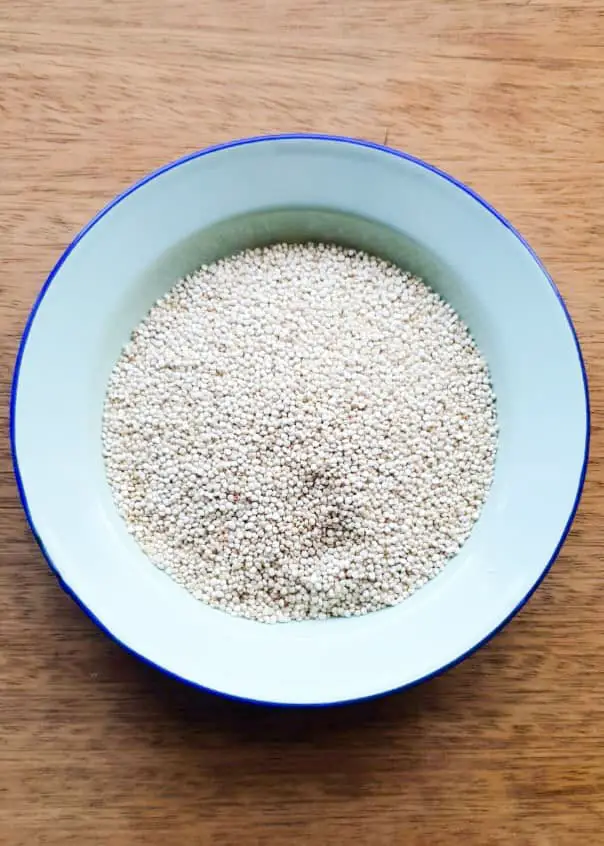 Bolivian quinoa in a plate