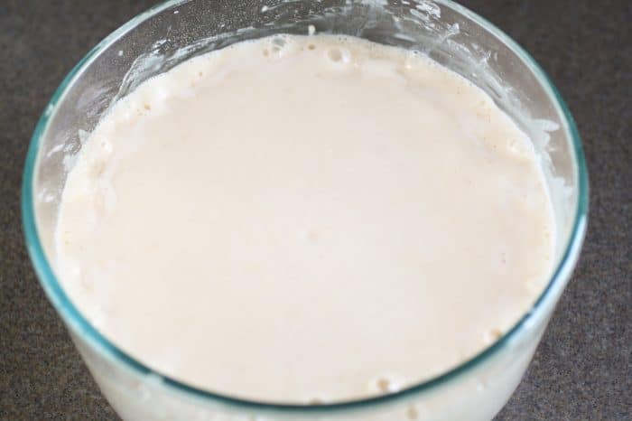 sponge dough in a bowl