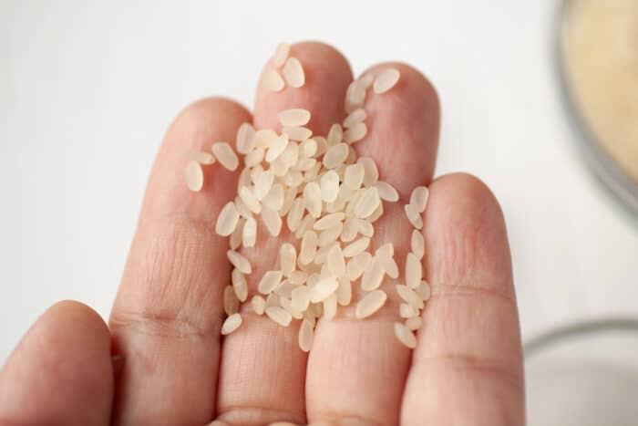 mano con granos de arroz