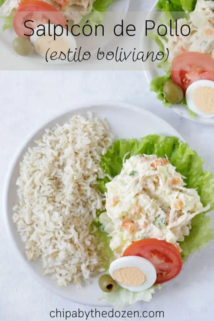 plato con arroz y salpicon