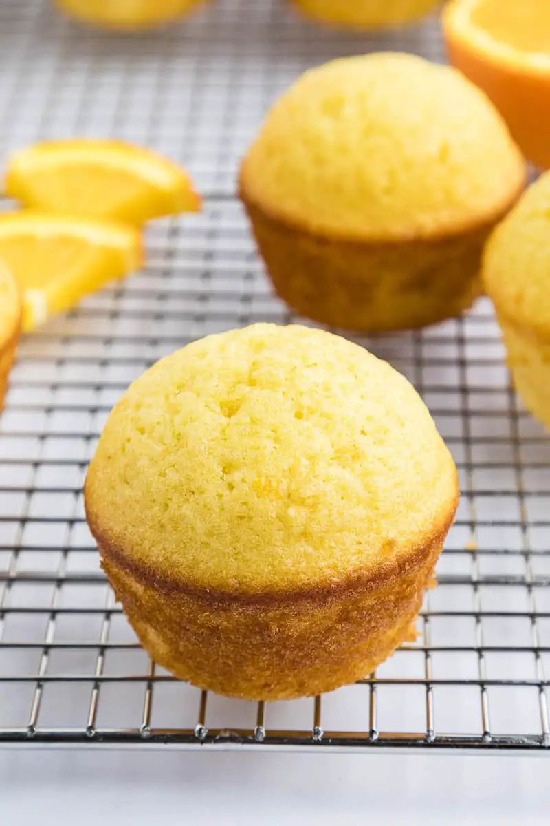 primera plana de muffin de naranja